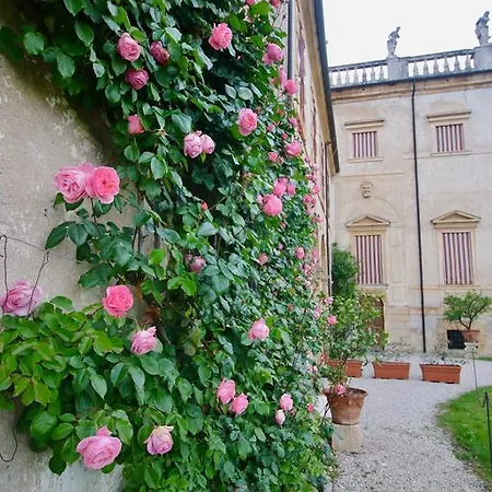 Via Cadene Apartment